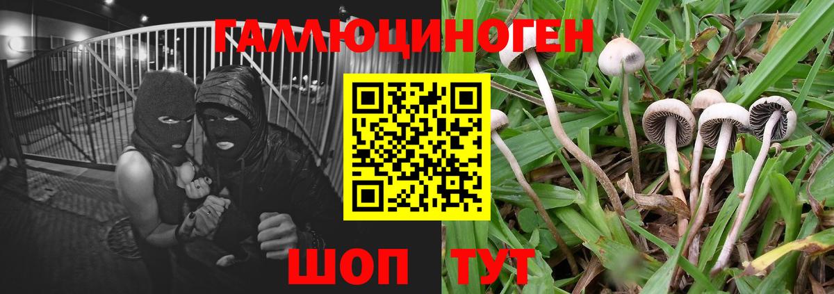Псилоцибиновые грибы мицелий  Вход с VPN  Дербент 